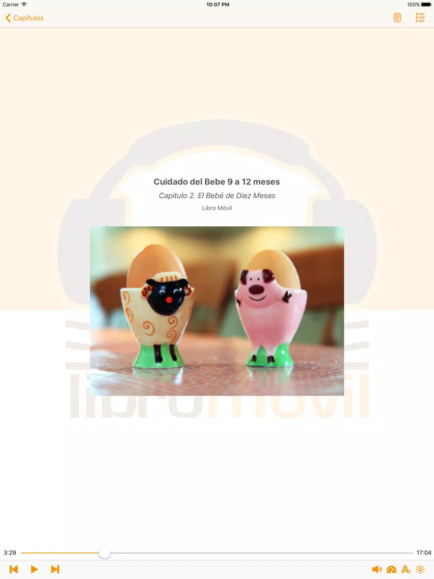 Cuidado del Bebe 9 a 12 meses – AudioEbook iPad  スクリーンショット