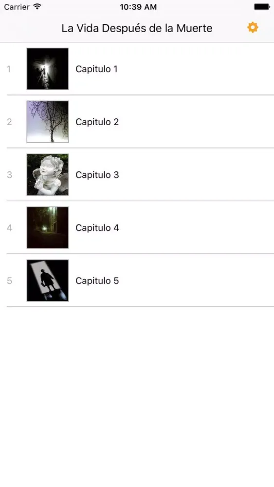 La Vida Después de la Muerte - AudioEbook Screenshots