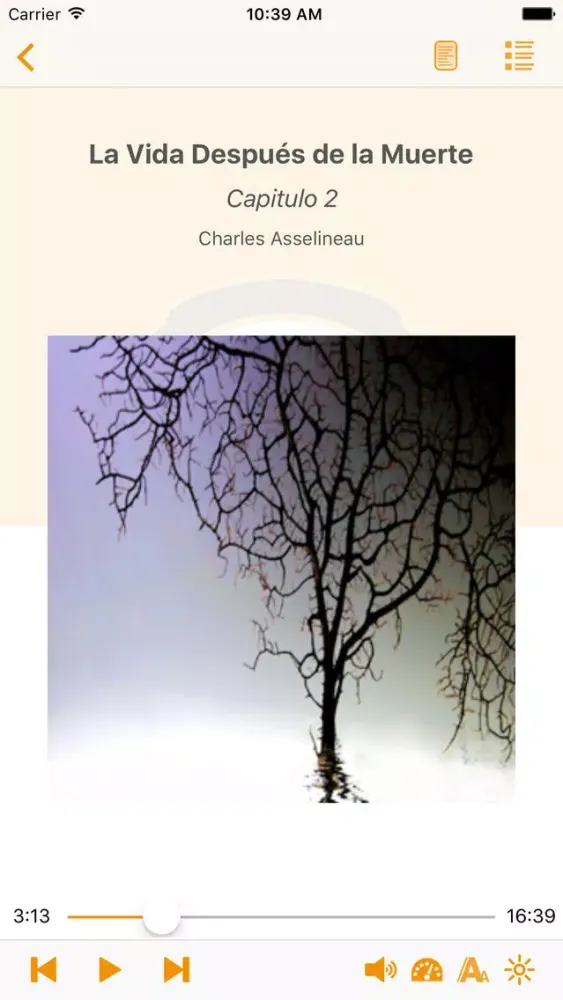 La Vida Después de la Muerte - AudioEbook Screenshots