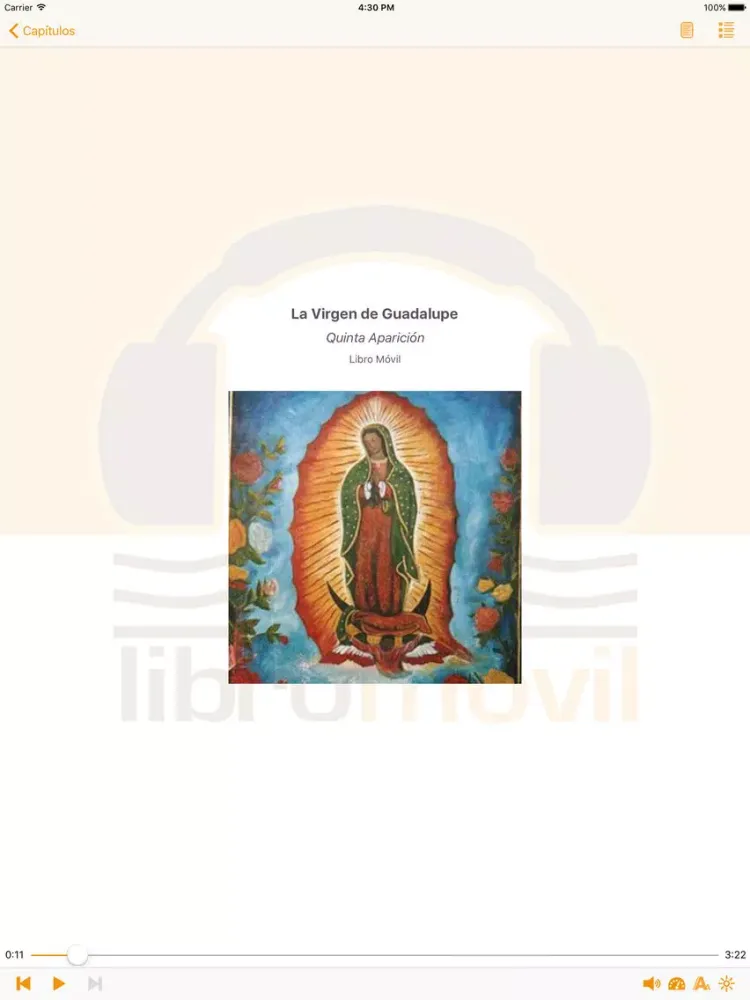 صور La Virgen de Guadalupe - AudioEbook iPad 