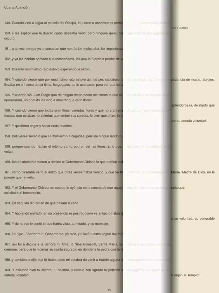 صور La Virgen de Guadalupe - AudioEbook iPad 