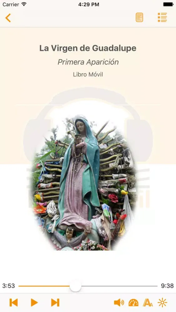 صور La Virgen de Guadalupe - AudioEbook