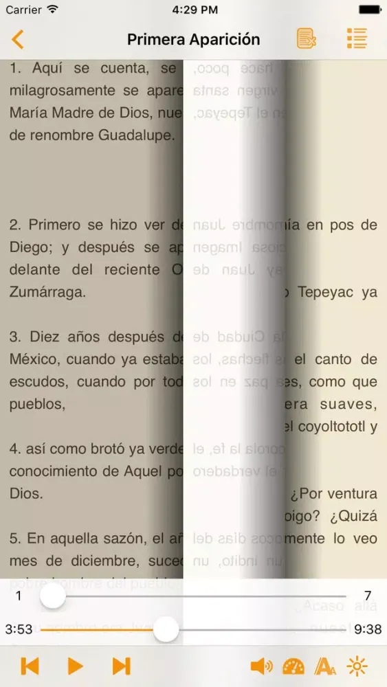 صور La Virgen de Guadalupe - AudioEbook