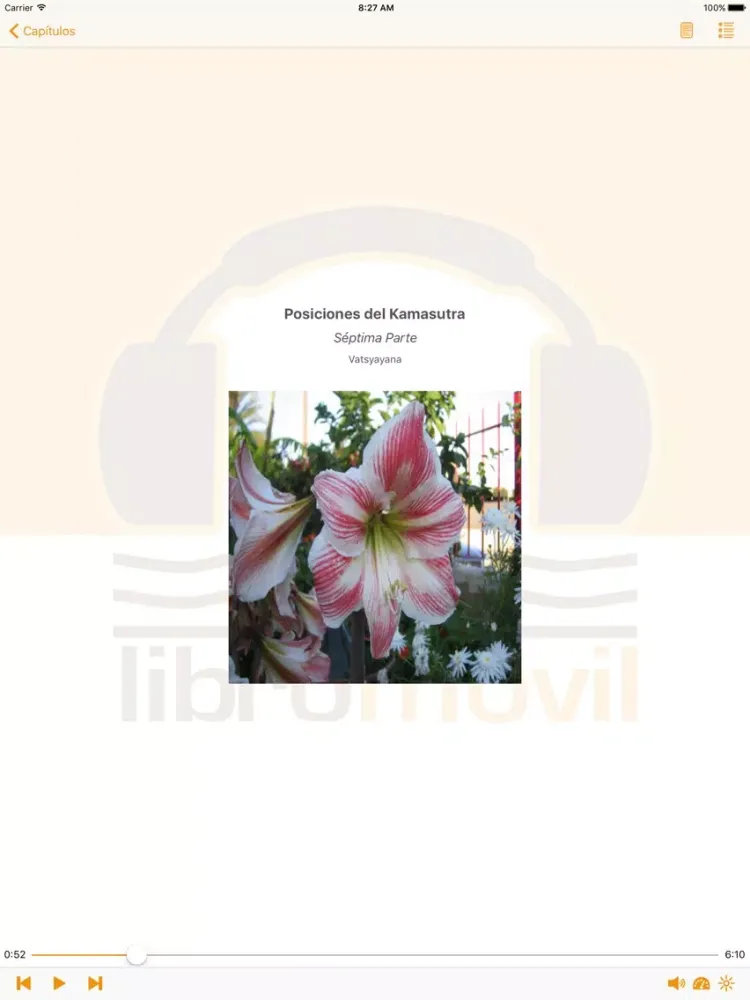Ảnh chụp màn hình của Posiciones del Kamasutra – AudioEbook iPad 