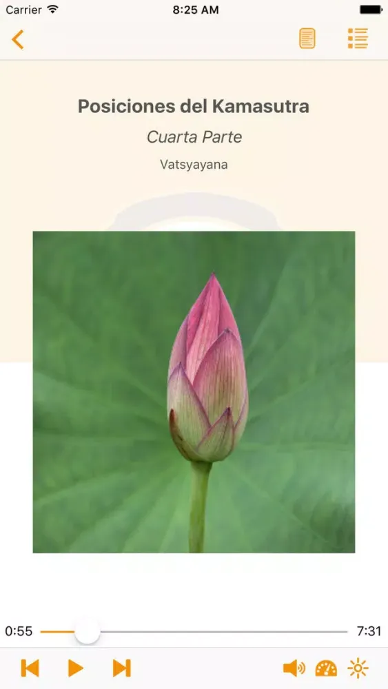 Ảnh chụp màn hình của Posiciones del Kamasutra – AudioEbook