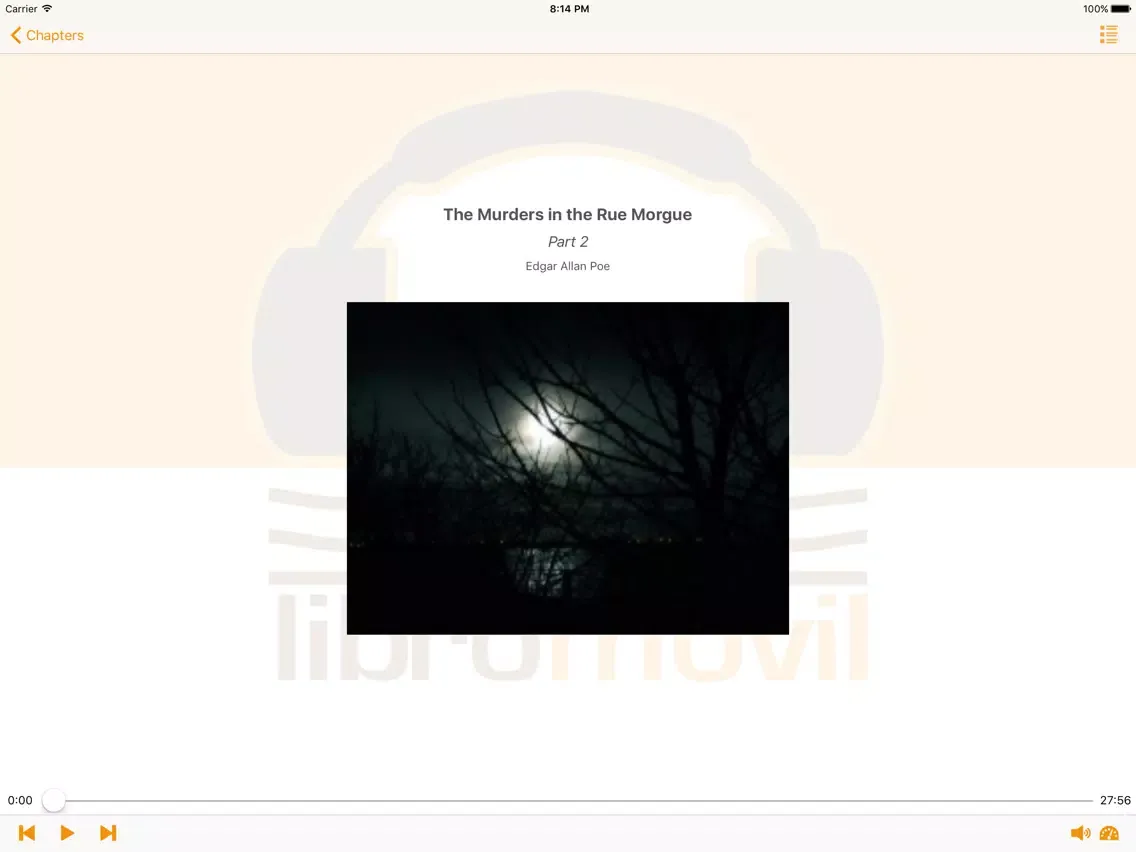 The Murders in the Rue Morgue - Edgar Allan Poe iPad  স্ক্রিনশট
