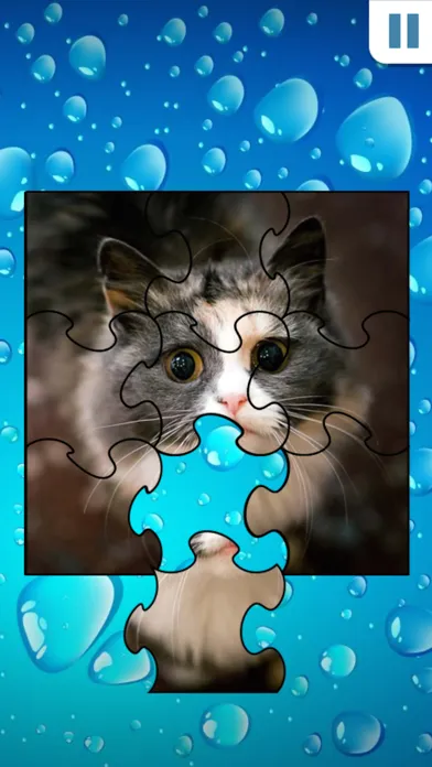 Jigsaw Puzzles - Amazing free classic jigsaw game سکرین شاٹس