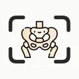Bones Identifier AI Scanner