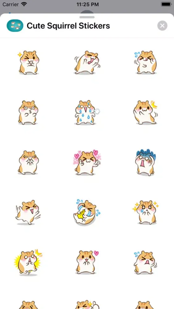 Cute Squirrel Stickers Ekran Görüntüleri