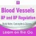 Blood Vessels, BP & regulation