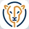 Lionrock Life