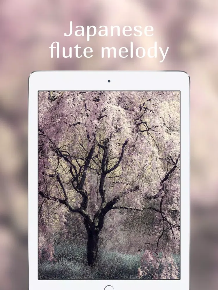Ambient sounds to sleep better Free lullaby music iPad  Ekran Görüntüleri