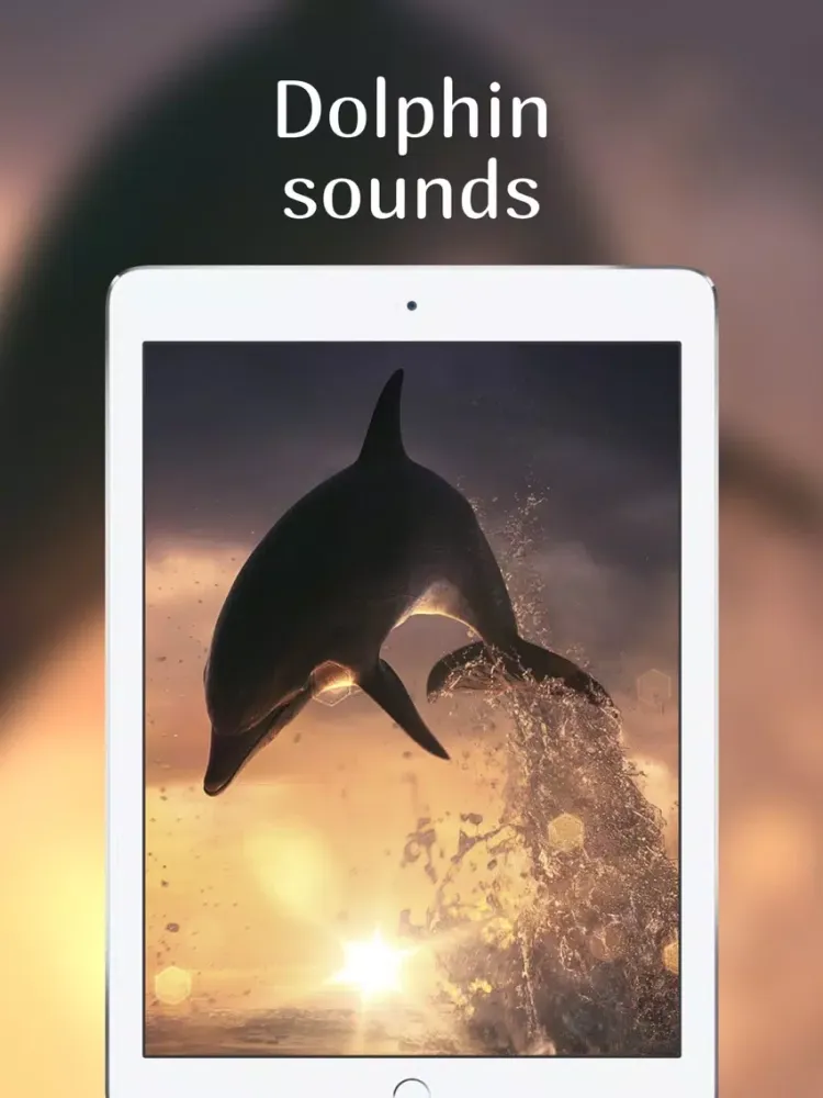 Ambient sounds to sleep better Free lullaby music iPad  Ekran Görüntüleri