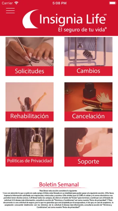 Screenshot di Mundo Insignia Life