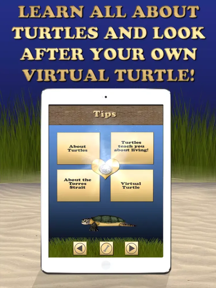 Where's the Turtle iPad  스크린샷
