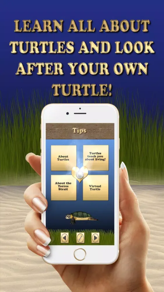 Where's the Turtle 스크린샷