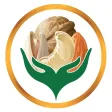 Lifetime Dry Fruits Lifetime Dry Fruits