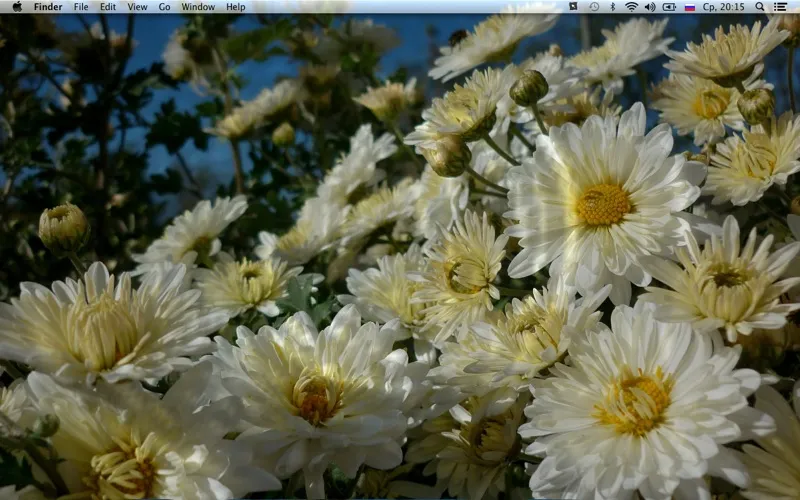 Liquid Desktop - Live wallpapers স্ক্রিনশট