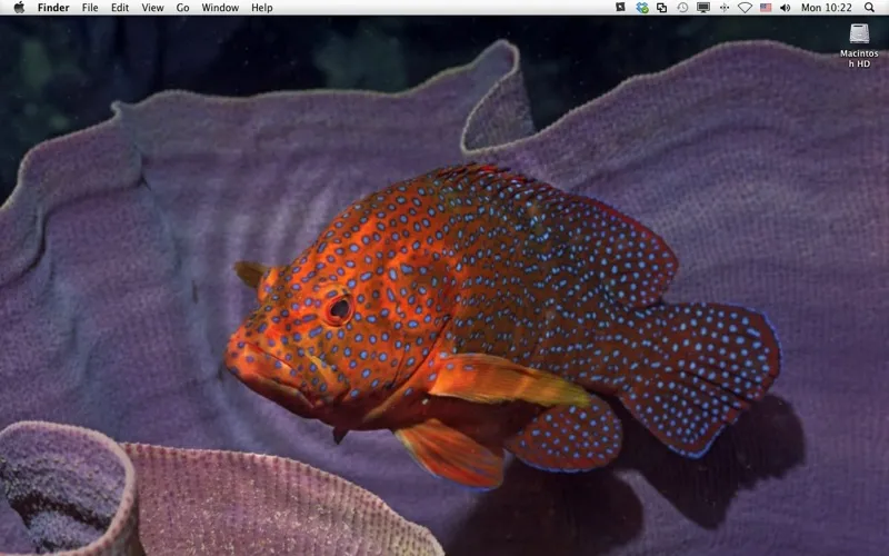 Liquid Desktop - Live wallpapers স্ক্রিনশট