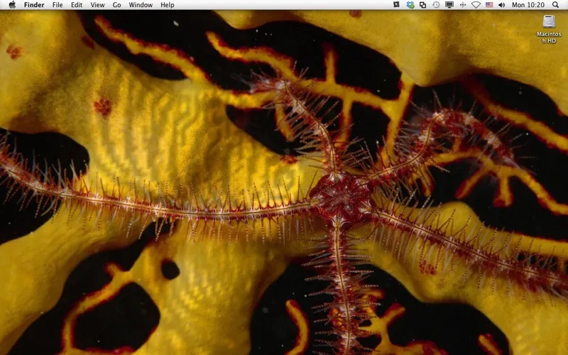 Liquid Desktop - Live wallpapers স্ক্রিনশট