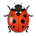 iBug - Live wallpaper