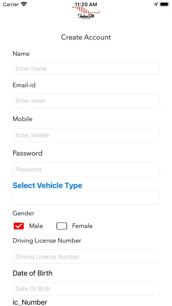 Скриншоты TakeMe Drivers