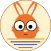 Sun Light AI