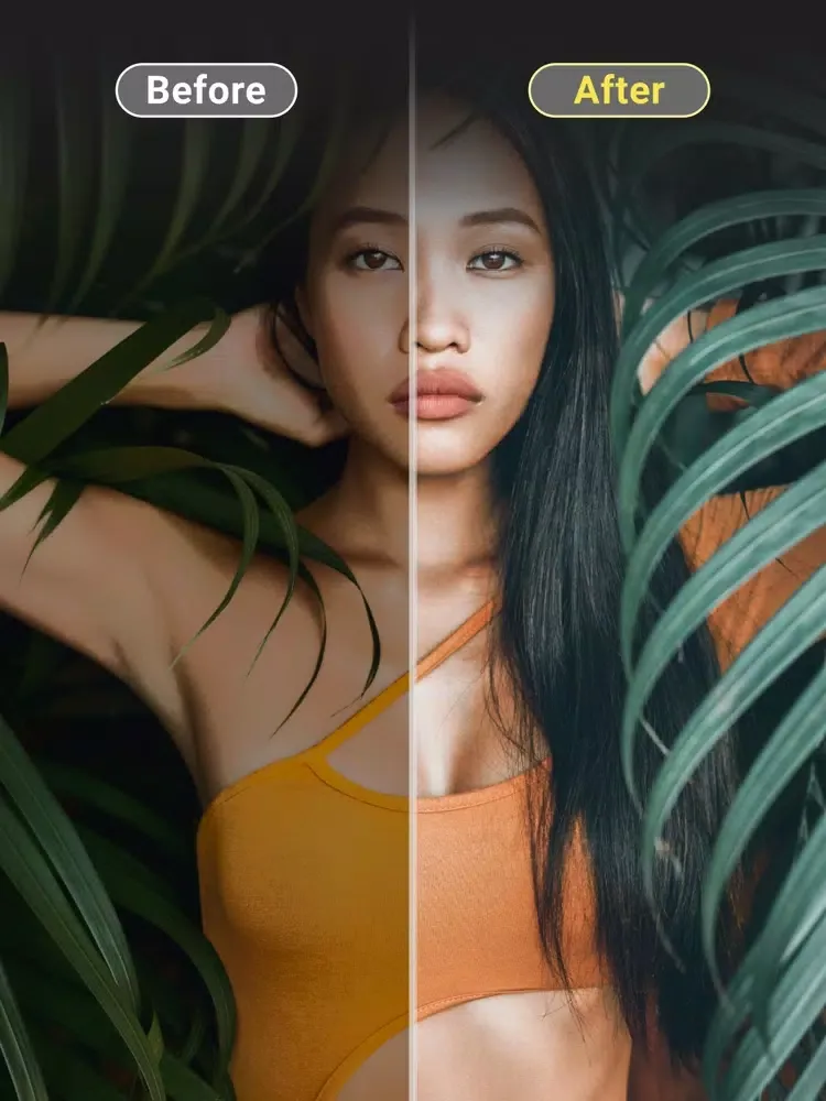 Lightroom Presets: Light Box iPad  Screenshots