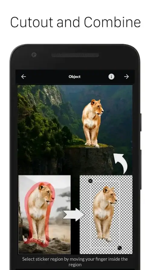 LightX Photo Editor-screenshot-2