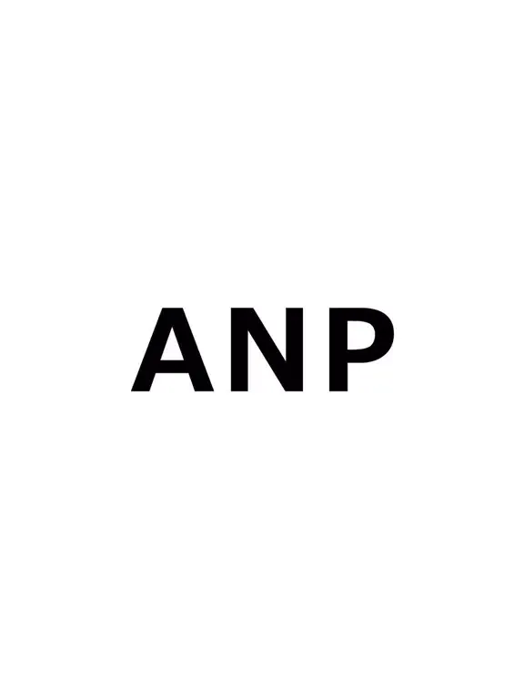 Tangkapan layar ANP(エーエヌピー) iPad 