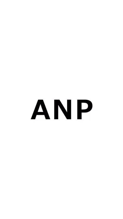 Tangkapan layar ANP(エーエヌピー)