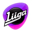 Liigavahti