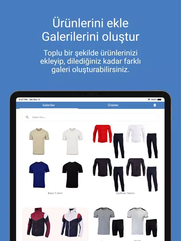 serilink iPad  Screenshots