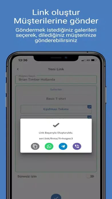 serilink Screenshots