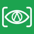 识字体