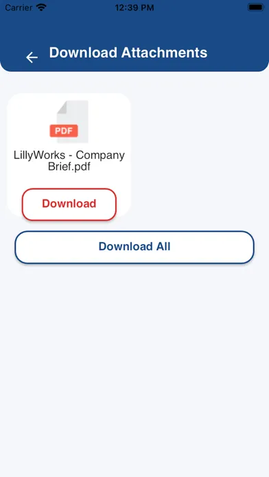Zrzuty ekranu LillyWorks PFM Mobile