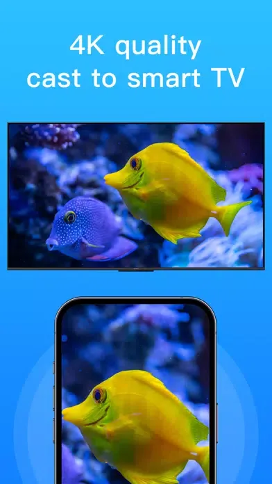 screen mirror for tv スクリーンショット