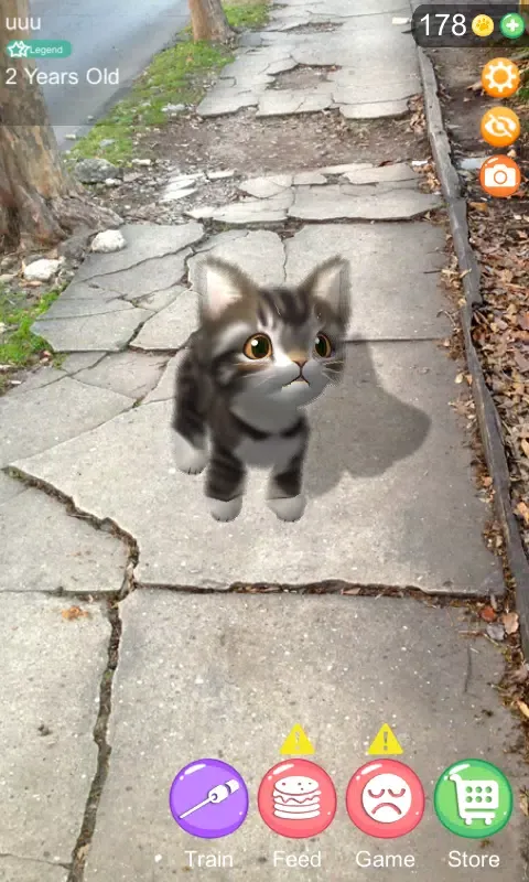 Capturas de pantalla de AR Cat