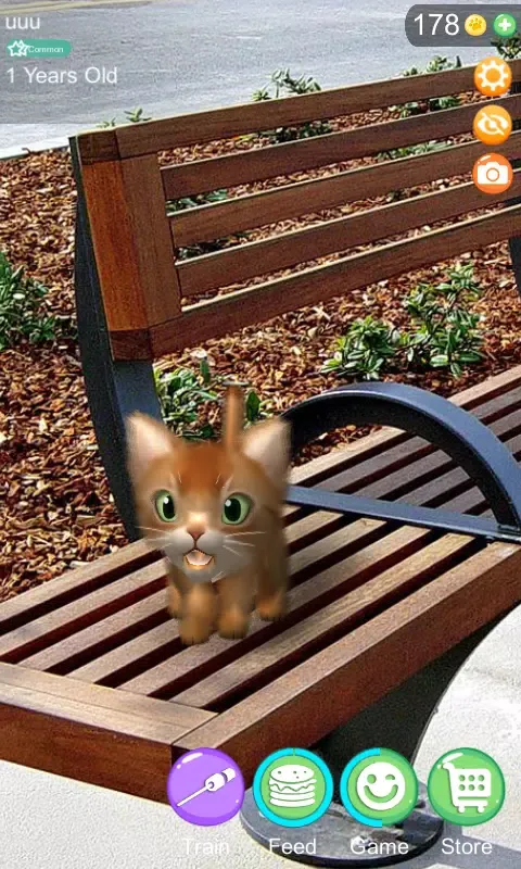 Capturas de pantalla de AR Cat