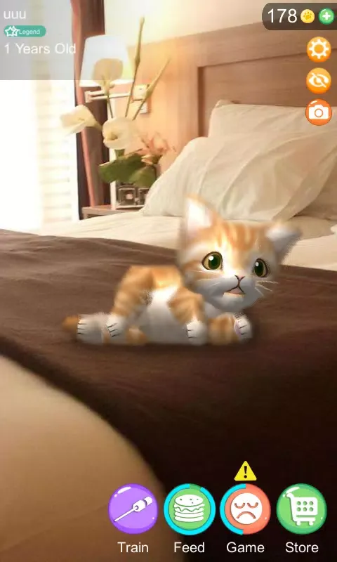Capturas de pantalla de AR Cat