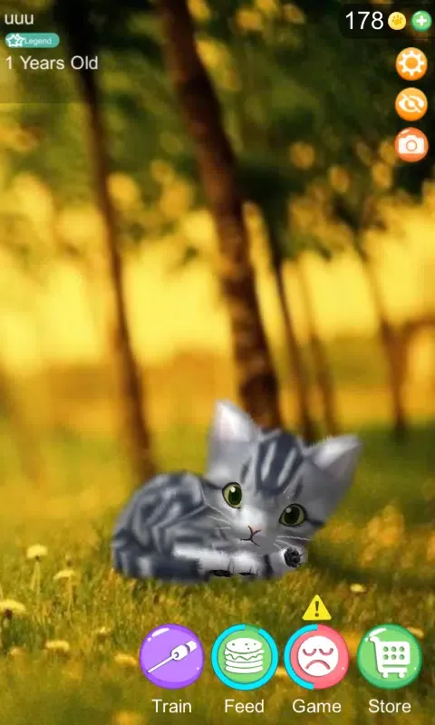 Capturas de pantalla de AR Cat