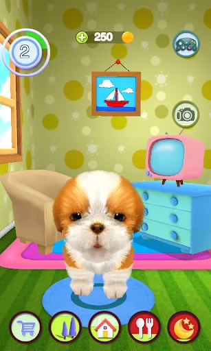 Talking Dog Screenshots