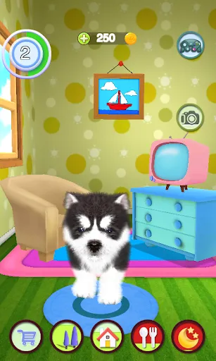 Talking Dog Screenshots