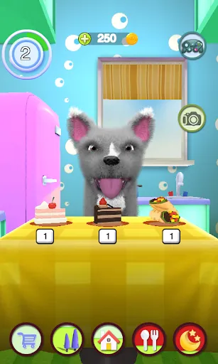 Talking Dog Screenshots