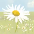 Daisypath