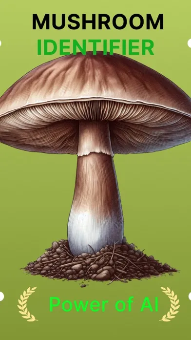 Picture Mushroom-Identifier,AI স্ক্রিনশট