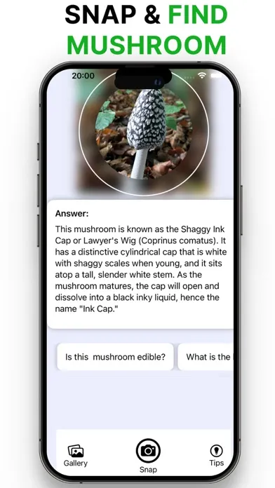 Picture Mushroom-Identifier,AI স্ক্রিনশট
