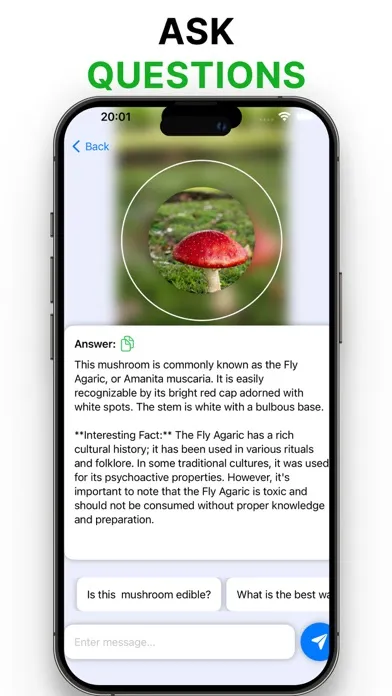 Picture Mushroom-Identifier,AI স্ক্রিনশট