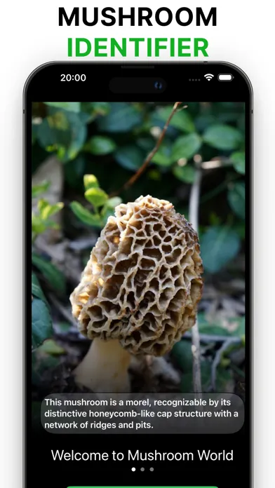Picture Mushroom-Identifier,AI স্ক্রিনশট