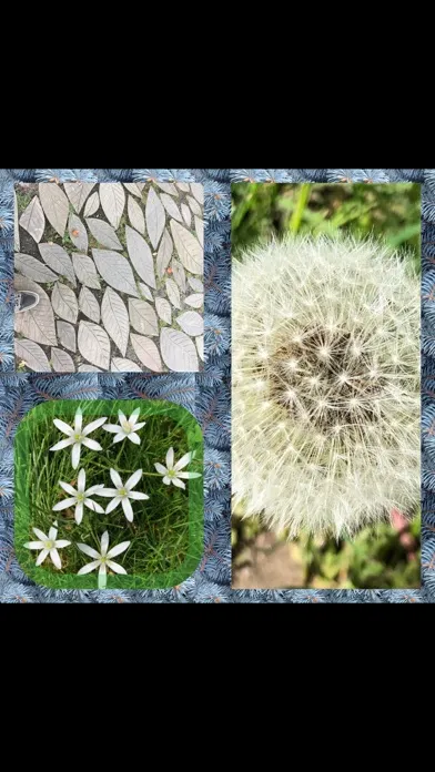 Screenshot di Mosaic - Video & Photo Collage
